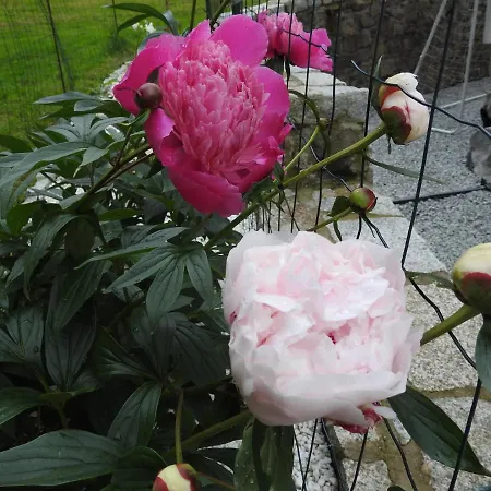 Dobranocka Homestay Szklarska Poreba