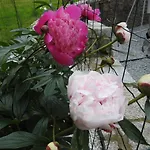 Dobranocka Ubytování v soukromí Sklářská Poruba