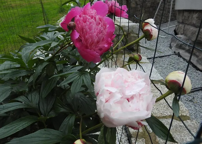 Dobranocka Privatunterkunft Schreiberhau